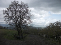 fugio monte Crisimo201100501 141